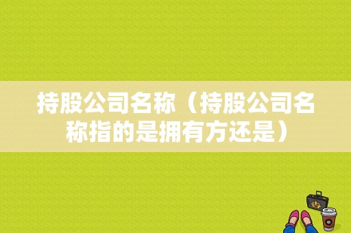 持股公司名称（持股公司名称指的是拥有方还是）