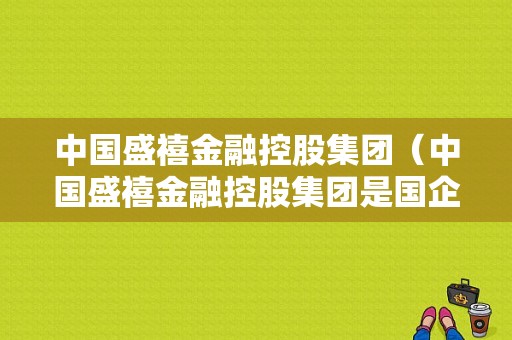 中国盛禧金融控股集团（中国盛禧金融控股集团是国企吗）-图1