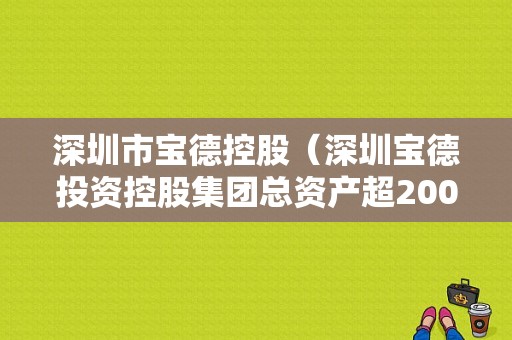 深圳市宝德控股（深圳宝德投资控股集团总资产超200亿）