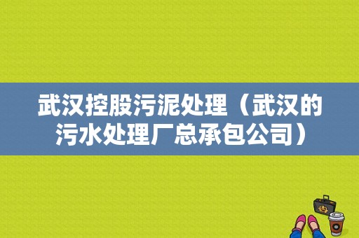 武汉控股污泥处理（武汉的污水处理厂总承包公司）