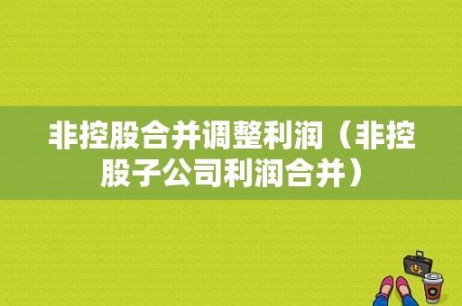 非控股合并调整利润（非控股子公司利润合并）