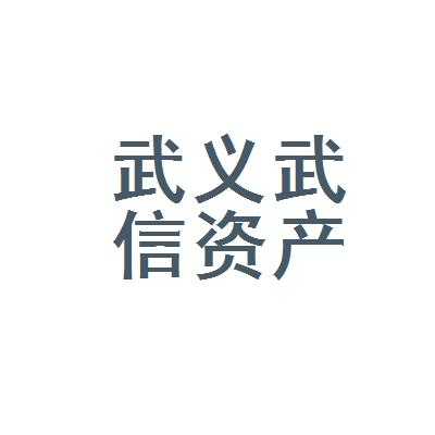 武信投资控股（武信投资控股有限公司）-图1