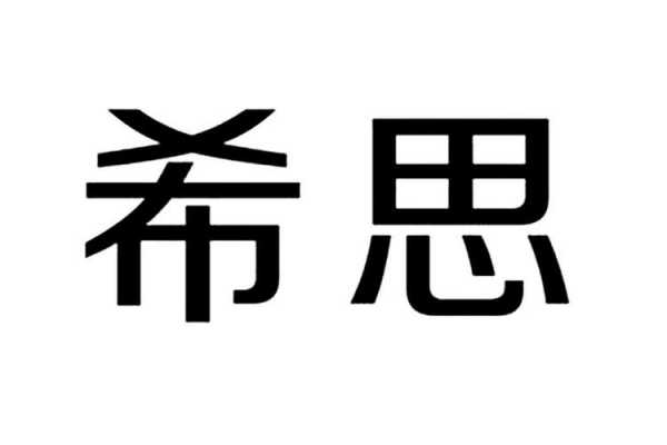 深圳市希思控股有限公司（深圳市希思控股有限公司招聘）-图3