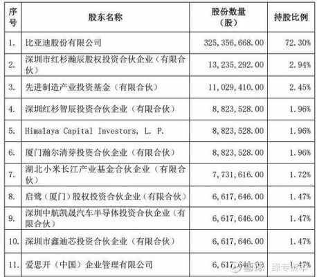 比亚迪间接持股（比亚迪持股股东）-图2