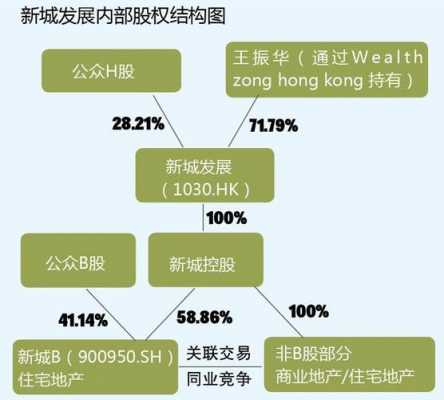 包含新城控股股本的词条-图1