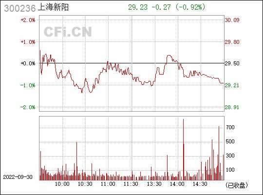 上海新阳300236持股（上海新阳的股票代码）-图2