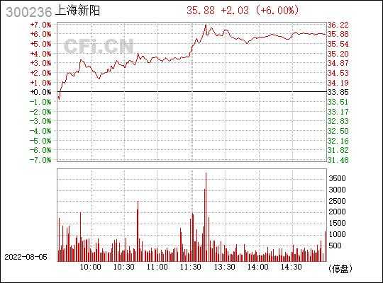 上海新阳300236持股（上海新阳的股票代码）-图3