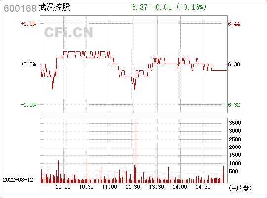 武汉控股票的简单介绍-图2
