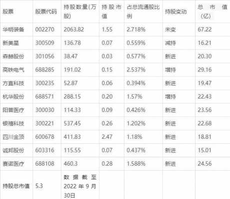 李胜军持股（牛散李胜军持股风格）