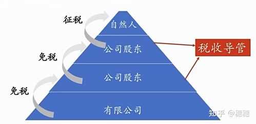 自然人持股和法人持股涉税（自然人持股的坏处）-图3