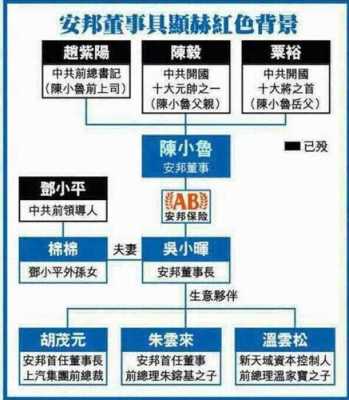 关于陈小鲁控股安邦的信息-图3