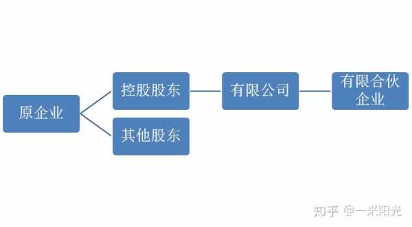 项一持股（两个公司持股一家公司）