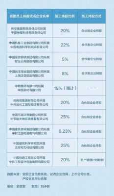 实施员工持股的公司（员工持股试点企业名单）-图3