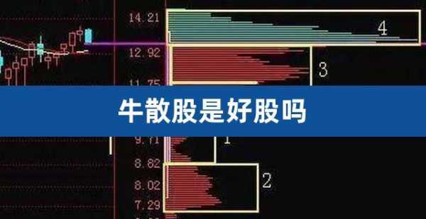 牛散持股（牛散持股什么意思）