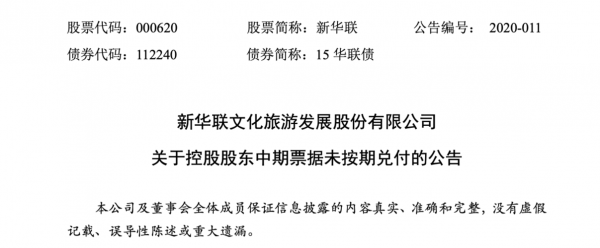 新华联控股股票代码（新华联控股有限公司股票代码）-图2