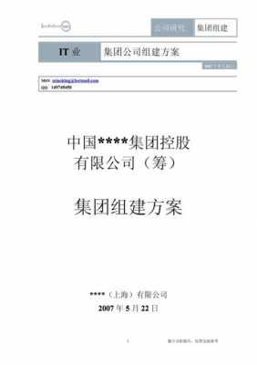 成立控股公司方案（成立一个控股公司）-图2