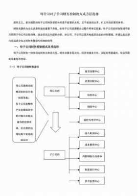 成立控股公司方案（成立一个控股公司）-图3