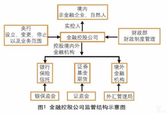 金融控股作用（金融控股的意义）