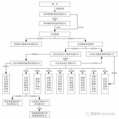 新华联控股股东组成（吉利控股股东组成）-图2