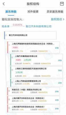 智已由上汽持股多少（上汽中国持股多少）-图2