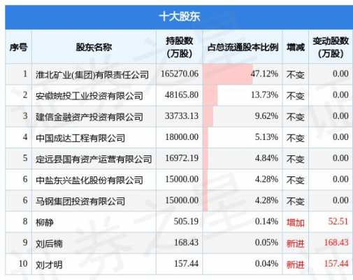 华塑控股十大股东（百度控股十大股东列表）-图2