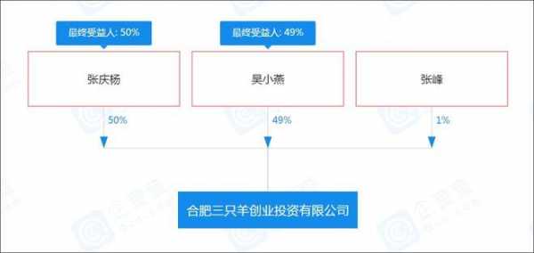 吴治宇持股的简单介绍-图3