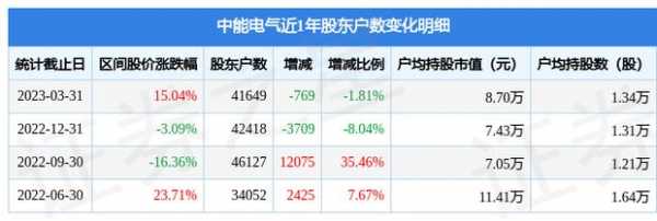 中能电气持股（中能电气股东人数）