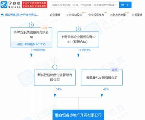 新城控股博瑞计划（新城控股新睿）-图3