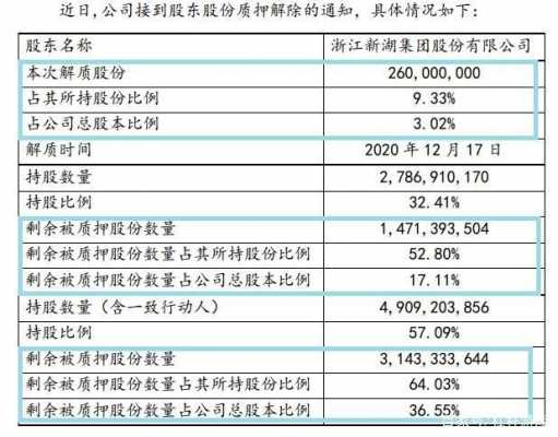 新湖中宝员工持股（新湖中宝持股的公司）-图2