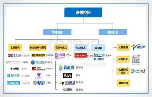 包含联想控股商业模式的词条