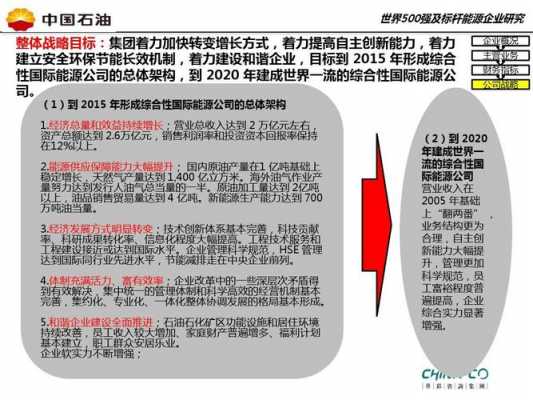 中国基础能源控股有限（中国基础能源控股有限公司公司治理结构）-图3