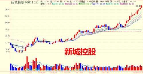 新城控股股票行情（新城控股股票行情最新）-图2