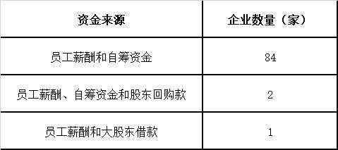 员工持股资金（员工持股资金来源大股东借款）