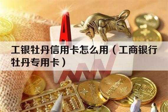 工行牡丹卡不能提额（工行的牡丹交通卡能提额度吗）-图3