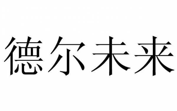 德尔未来控股湖南（德尔未来控股湖南分公司）