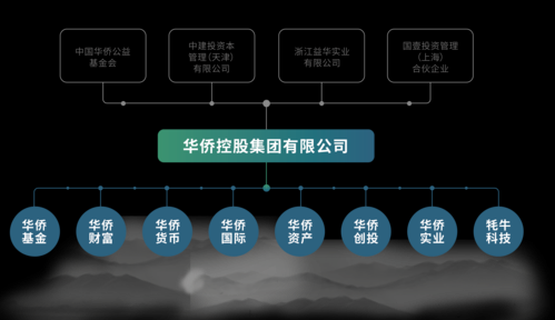 华源控股公司组织结构（控股公司型组织结构）-图2