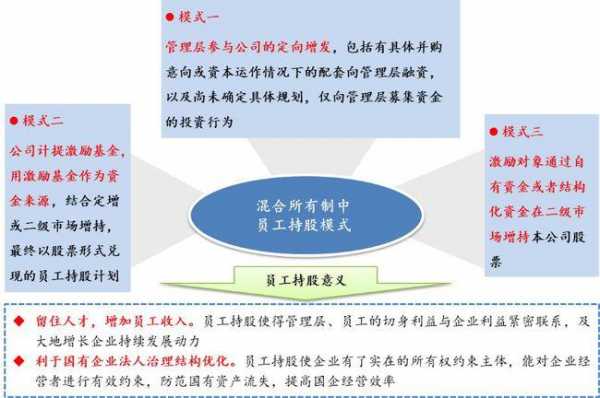 混合所有制员工持股（混合所有制员工持股试点）