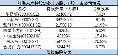 前海人寿所持股票（前海人寿持有哪些股票）-图2