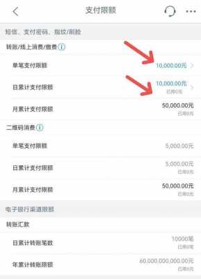 工行支付额度（工行支付额度怎么改成20万）-图3
