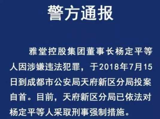 雅堂控股事件（雅堂集团害的家破人亡）