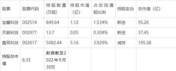 牛散施玉庆最新持股（牛散施长军）-图2