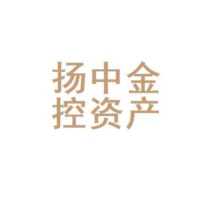 扬中金融控股公司（扬中金融控股公司招聘）