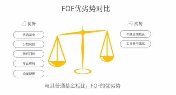 工行fof（工行fof1080）-图3