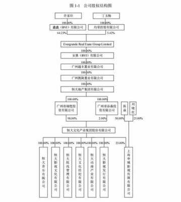 公司制持股（公司的持股比例说明了什么）-图3