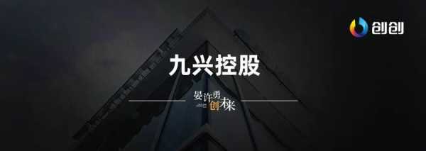 九兴控股有限公司官网（九兴控股集团）-图2