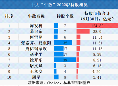 2017年牛散持股（2017年牛股排行榜）