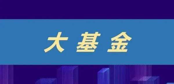 大基金持股最佳方向（大基金持股最佳方向有哪些）-图3