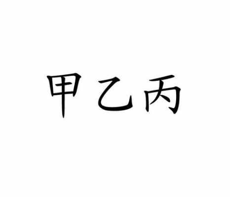 甲丙控股有限公司（丙甲科技有限公司）-图2