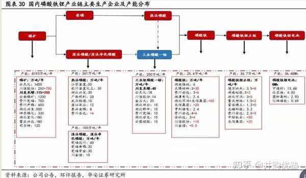 天伦控股产业（天伦控股产业链分析）-图2