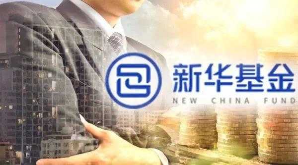 新华控股公司债（新华控股是干什么的）-图1